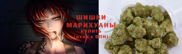 трава Белокуриха