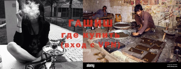 трава Белокуриха