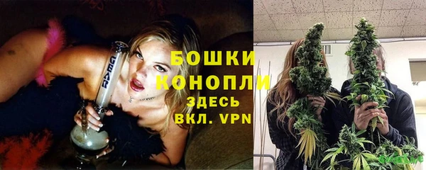 трава Белокуриха