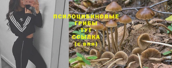 трава Пролетарск