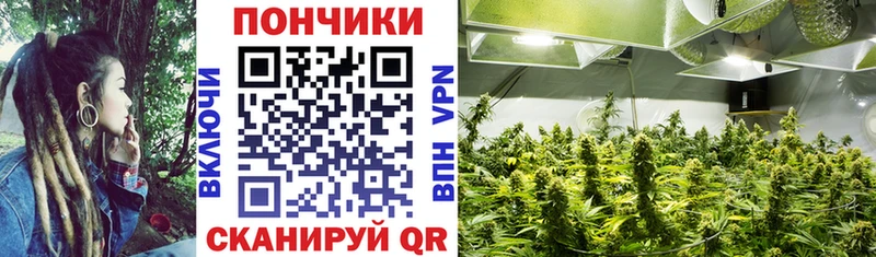 Каннабис Bruce Banner  купить наркотик  Пыть-Ях 